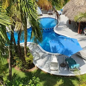 https://private-room-in-guest-house-playa-del-carmen.tulum-hotels.net