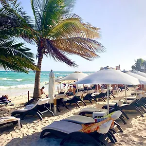 https://silversands-hotel-boutique-5th-ave.tulum-hotels.net